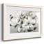 Southern Charm - impression d'un seul cadre photo-1252702915-1252702917