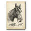 Reproduction d’art sur toile tendue « Gallant Fox »-1847115695