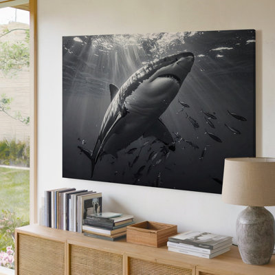Wall Art Rise Of The Hunter Canvasblack And White Shark Power Portrait Canvas Ready To Hang Gallery Wrapped Home Decor Modern Design