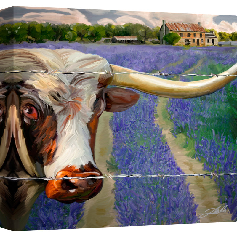 " Texas BB "