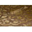Dharma Oriental Area Rug