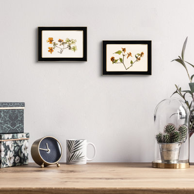 Aluminum Gold Edge Enamel Frame 2 Set