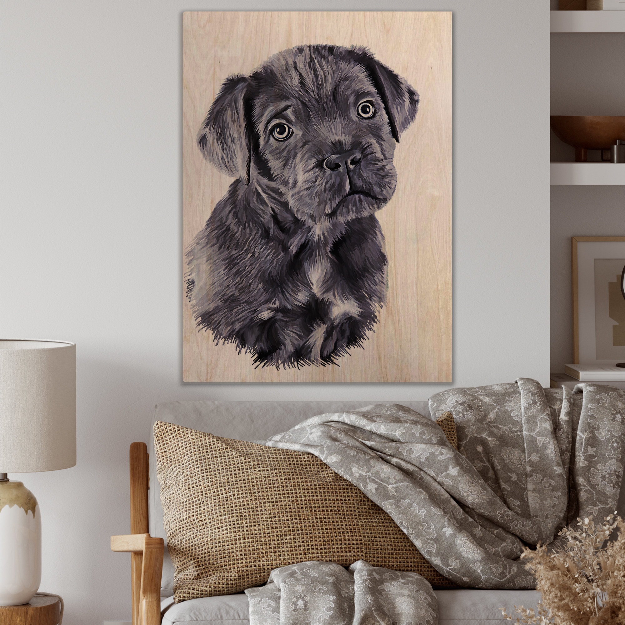 Cane Corso Dimensions & Drawings