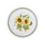 Portmeirion, Botanic Garden - Dinner Plates