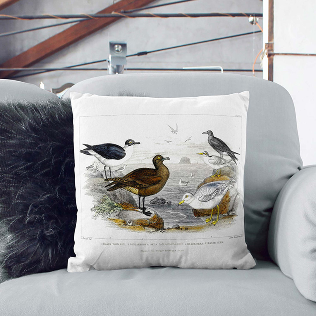 Gulls & Tern Birds by Oliver Goldsmith Cushion with Filling