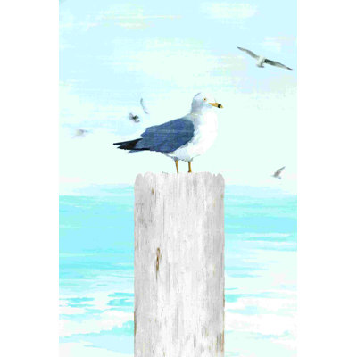 Mouette de plage par - sur