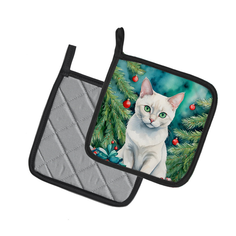 Paire de poignées pour chat étranger