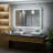 Ciyanna 48" W x 30" H Recessed LED Lighted Medicine Cabinet with 6 Adjustable Shelves, Defogger, Outlets & USBs-914119195