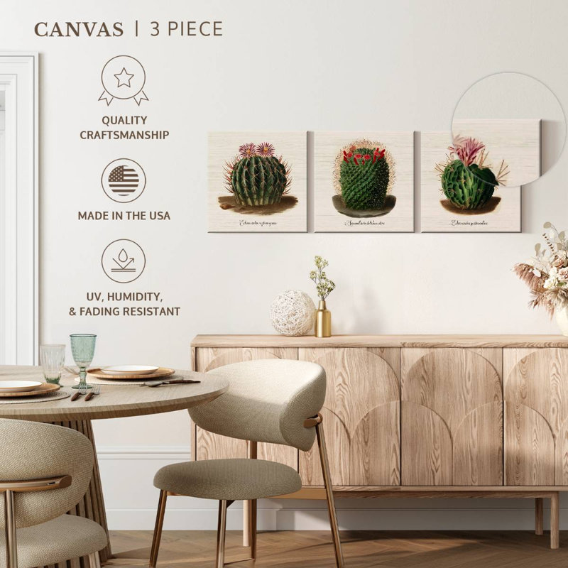 Iconographie descriptive des cactus, H 10 po x l 32 po