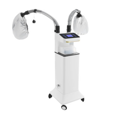 Machine à vapeur multifonctionnelle pour cheveux, machine à vapeur pour cheveux Nano