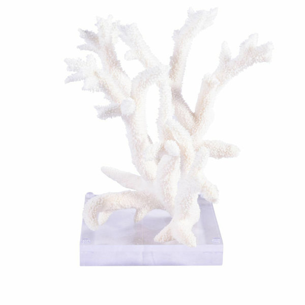 Off-White Resin Coral on Acrylic Base