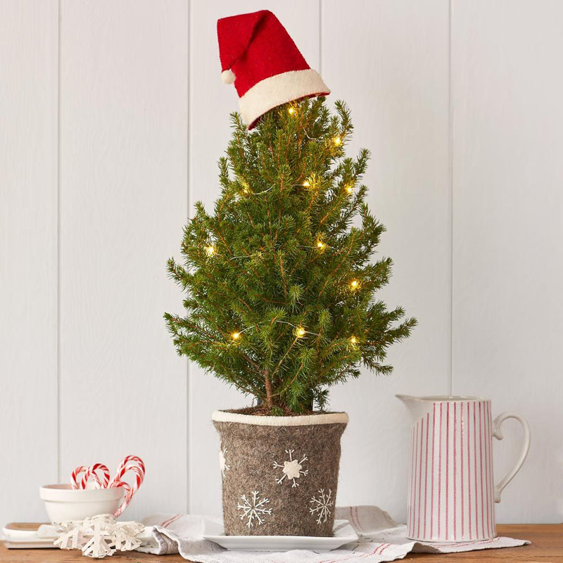 Santa Hat Tree Topper