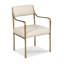 Upholstered Arm Chair