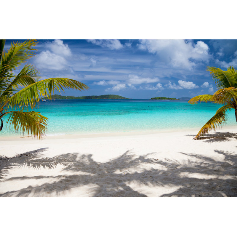Palm Trees by Cdwheatley - Wrapped Canvas Print, 81cm H x 122cm W