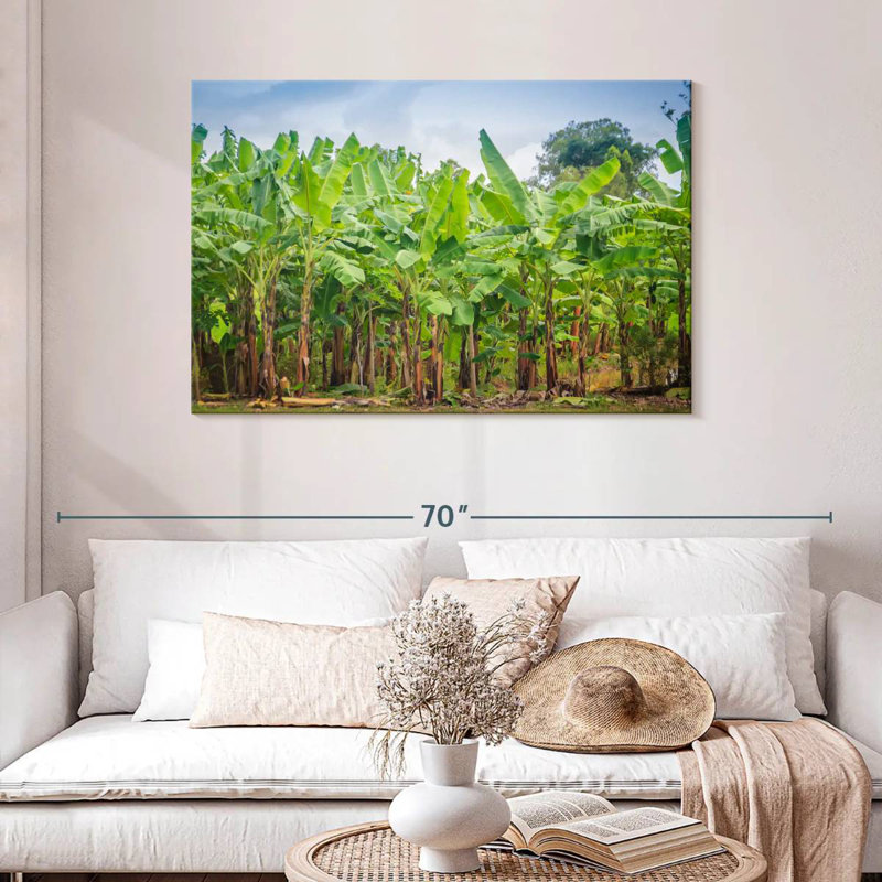 Plantation de bananes Harnek, H 30 po x l 45 po