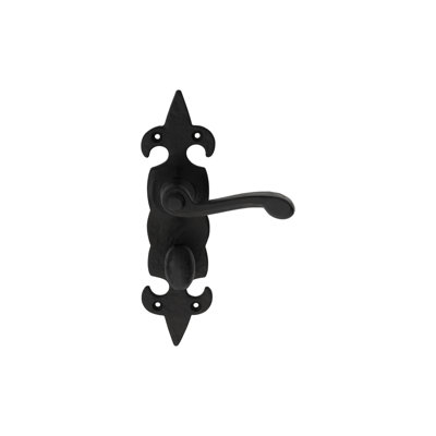Larson Bathroom Door Handle