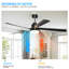 65 Inch Black Ceiling Fan With Light
