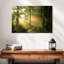 Alvord Forest Road - soleil-107718323