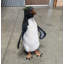 Statue pingouin Rock Hopper