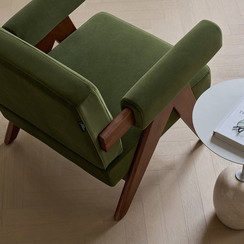 Chaise de loisir simple et moderne pour la détente., Vert, Brun