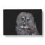 Great Grey Owl Vol.2 - Wrapped Canvas-61852323