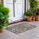 Machine Washable Indoor/Outdoor Cicel ACN1156 Brown Rug