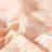 Isla Bed in a Bag Jacquard Textured Floral Comforter Set-259243301-259243298
