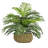 14'' Faux Palm Plant in Wicker/Rattan Basket