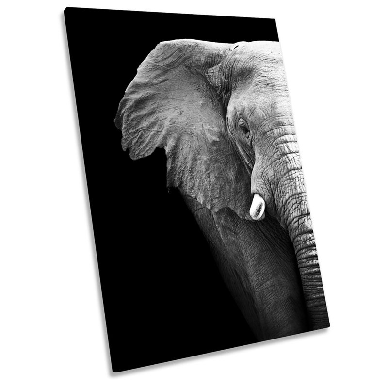 X2161 Wrapped Canvas Print, 121.9cm H x 81.3cm W x 4cm D