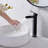 Bathroom Faucet with Drain Assembly