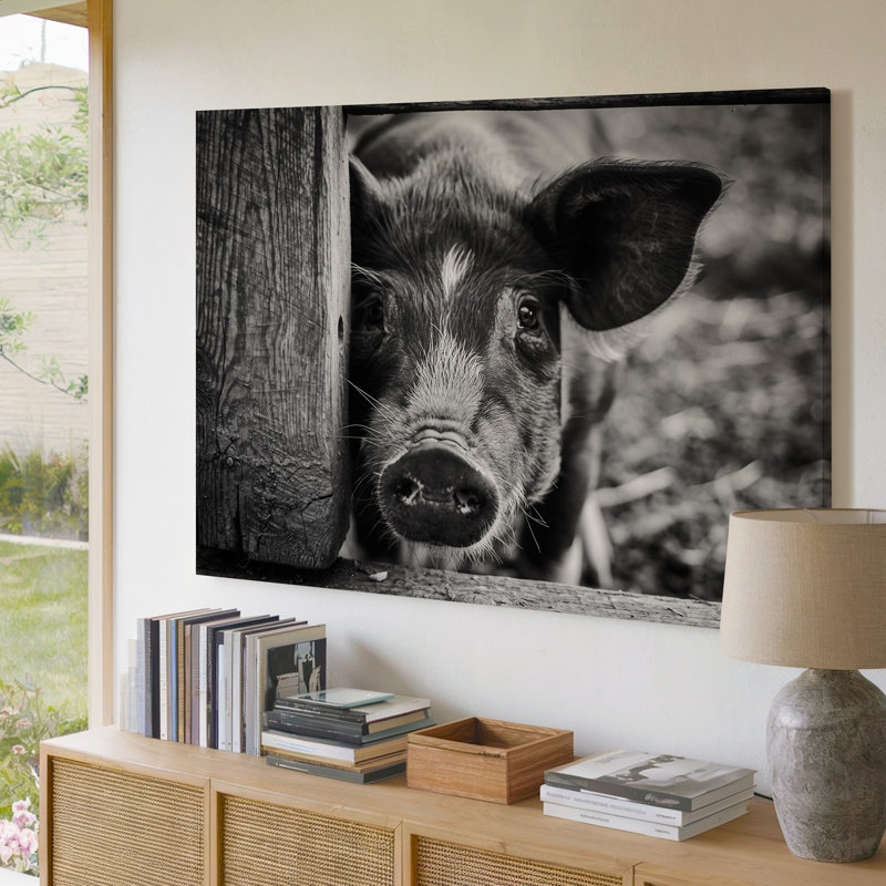 "Toile d'un gros plan d'un cochon curieux", H 9 po x l 12 po