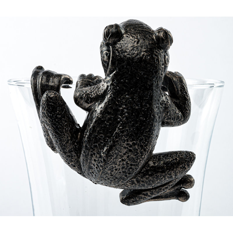 Support à grenouille dans une boîte cadeau
