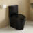 1.1/1.60 GPF Dual-Flush One Piece Toilet, Water-Saving Elongated Comfort Height Floor Mounted, Soft Close Seat, 1000 Gram Map Flushing Score Toilet, Matte Black-122583350