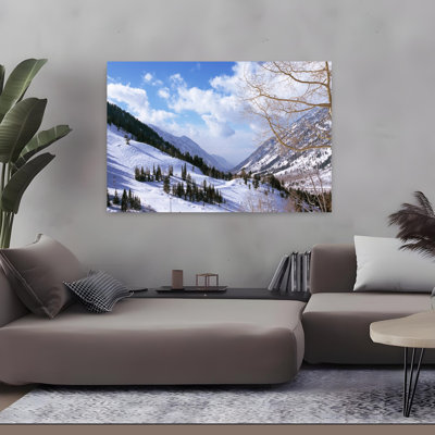 Trees in Snow Snowbird, station de ski, Utah, États-Unis, paysage contemporain abstrait, art naturel