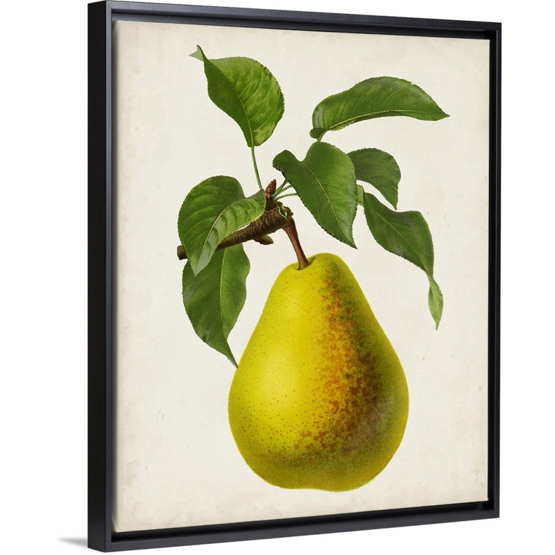 Antique Fruit VII - reproduction d'art sur toile, Cadre flottant noir, H 21,7 po x l 17,7 po x P 1,75 po