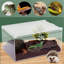 Petit enclos pour reptiles avec couvercle coulissant, habitat empilable pour les araignées et les grenouilles
