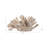 Sculpture Polyresin Coral Reef Textured Design Decorative Accent For Home Office Bedroom Living Room Display - 8" Ivory