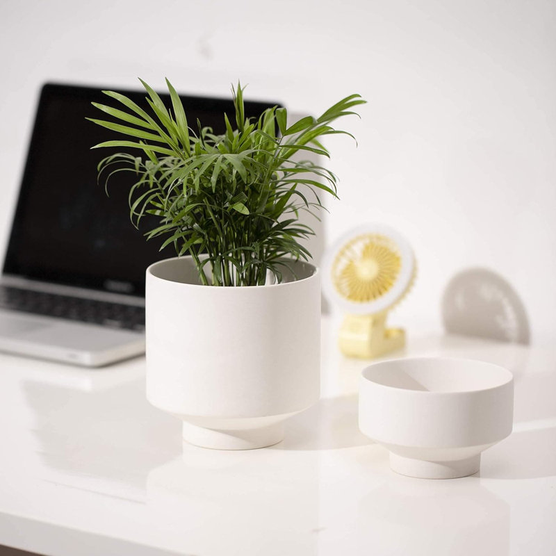 Ceramic Pot Planter