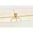 Pente 27 Table Lamp-901765824
