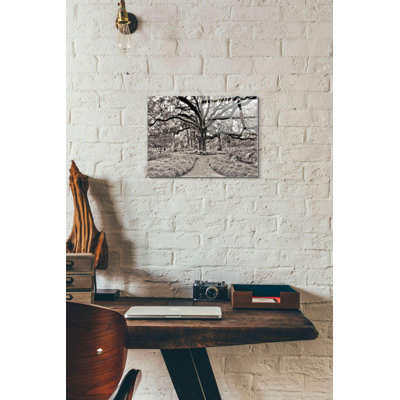 «Florida Tree» par PH Burchett, art mural en verre acrylique