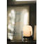 Metal Globe Lamp