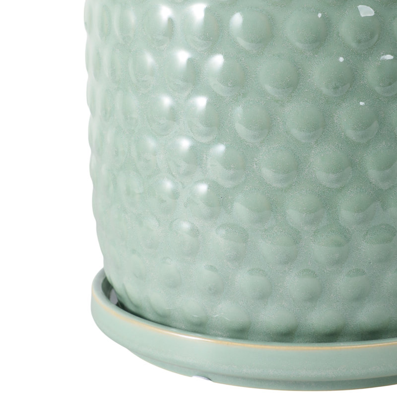 Jardinières en céramique embossée avec soucoupe pour l'intérieur et l'extérieur - Pots de fleurs texturés décoratifs pour le salon et le patio - Vert