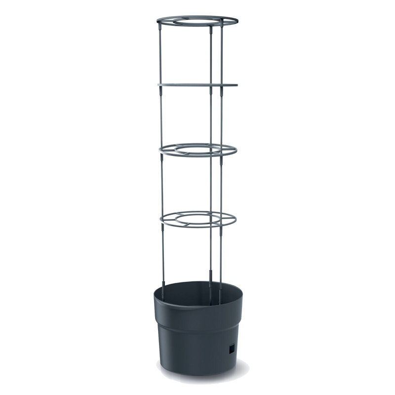 Bavly Plant Support, 153cm H x 39.2cm W x 31.5cm D