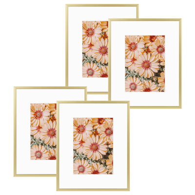 Drennon Metal Picture Frame Set with Mat