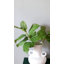 Faux Branch