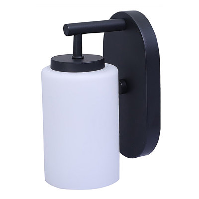 1-Light LED Frosted Opal Glass Vanity Light, Bulb Not Included