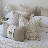 Butterfly Natural Lounge Cushion 55 X 55Cm
