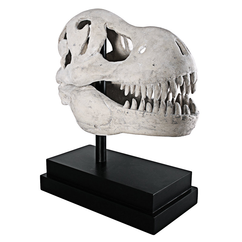 T-Rex Dinosaur Skull Fossil on Museum Mount Statue