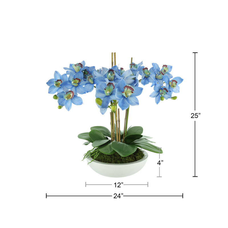 Orchidées disposées en pot de fibres, Bleu