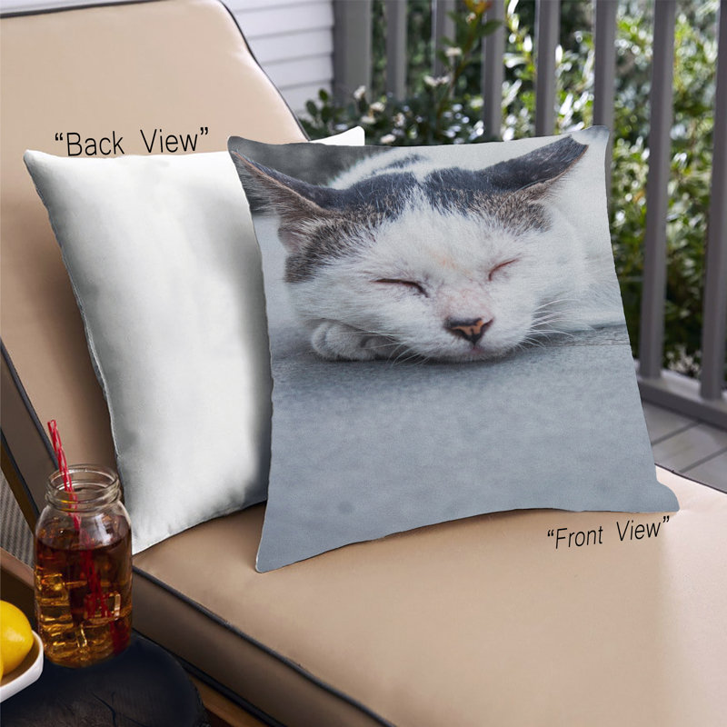 Coussin Cat Cats 24, Microsuède
